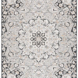 safavieh clearance sunrise sun696f grey rug