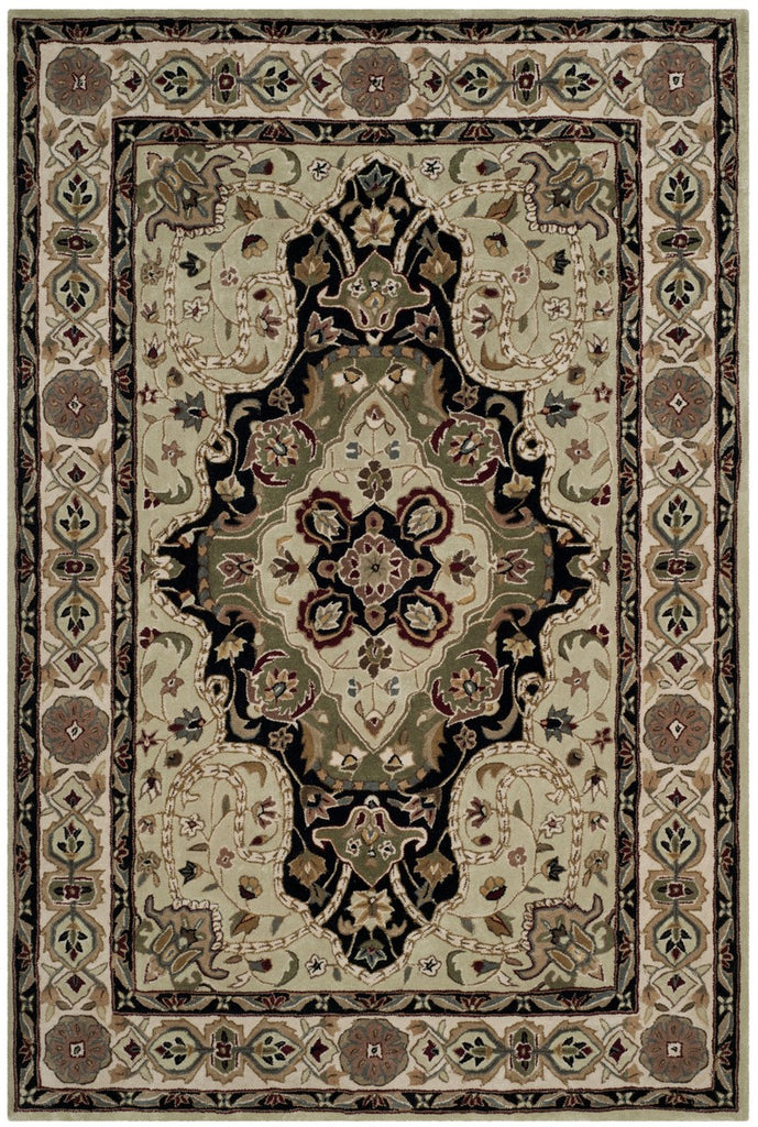 safavieh clearance total performance tlp718a soft green rug