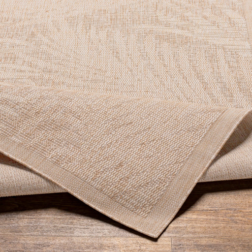 surya tuareg trg 2382 taupe rug