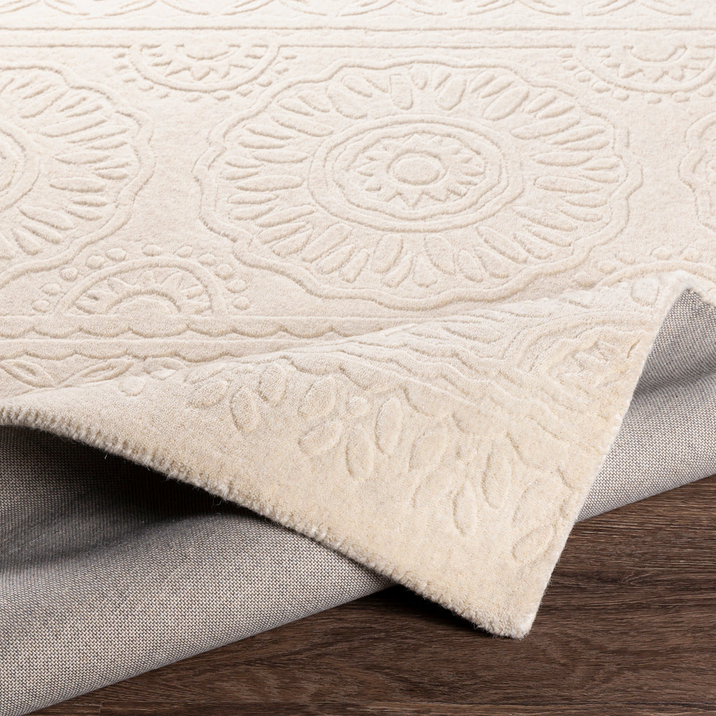 surya rug co taraash trh 2301 beige rug