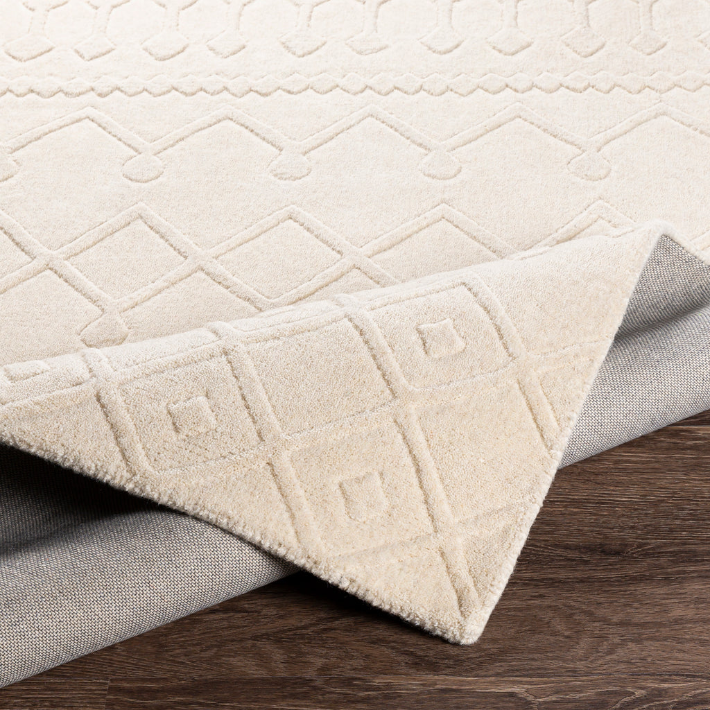 surya rug co taraash trh 2303 beige rug