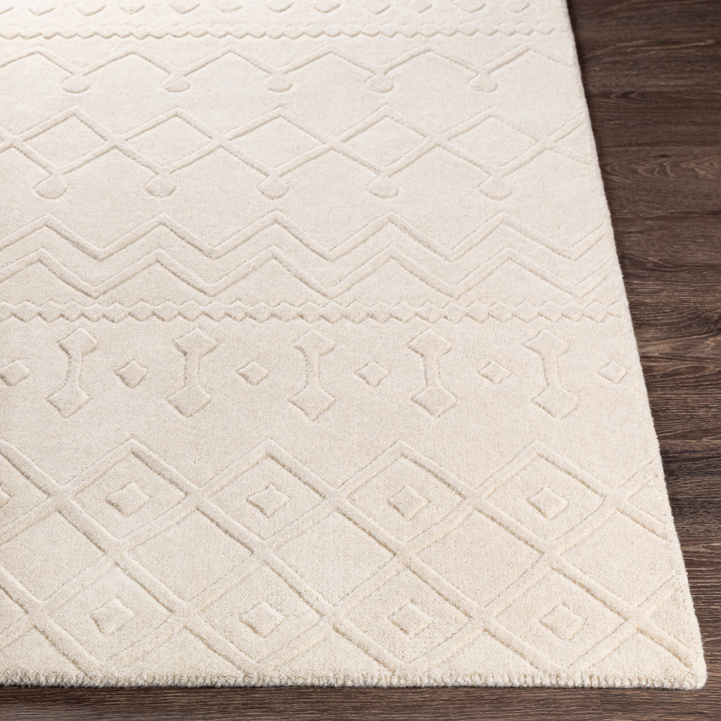 surya rug co taraash trh 2303 beige rug