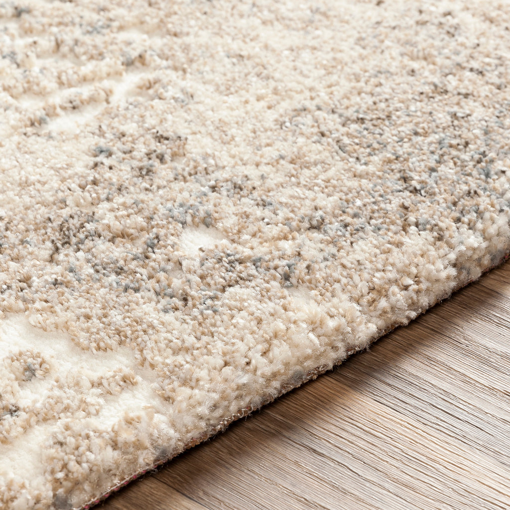 Livabliss Tuscany TUS-2304 Cream Rug