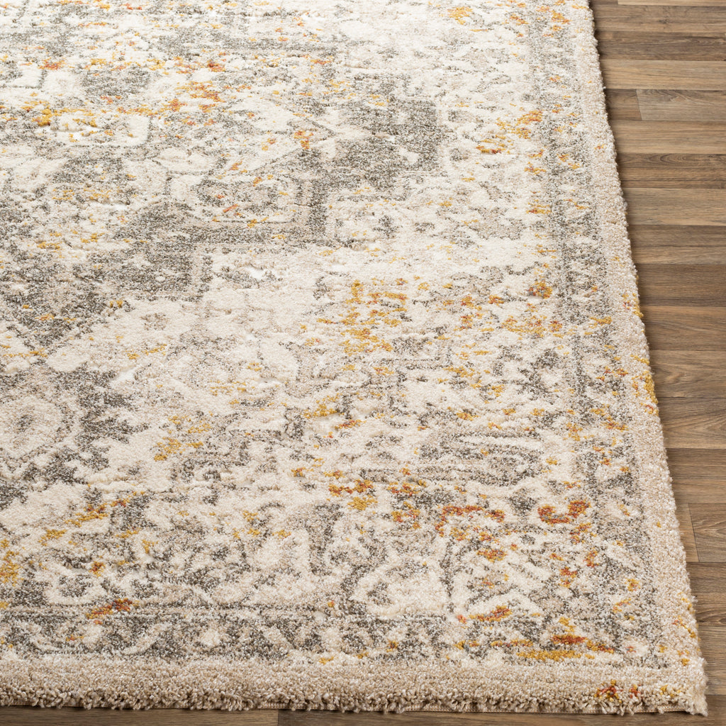 Surya Tuscany  Metallic - Champagne Rug | Tuscany Rugs | Rugs Done Right 