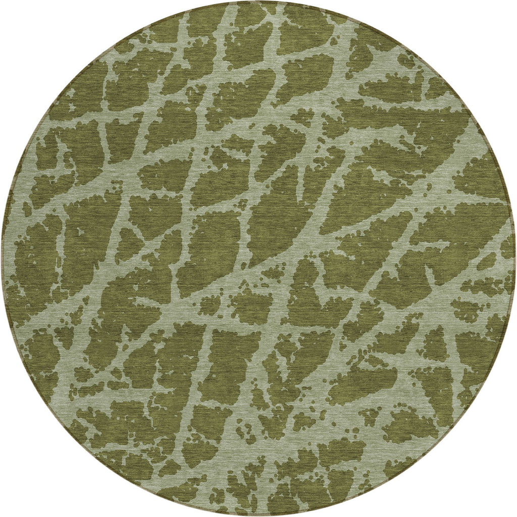addison chantille acn501 olive rug