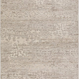 dalyn denizi dz6 silver rug