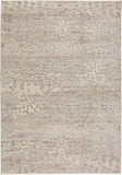 dalyn denizi dz6 silver rug
