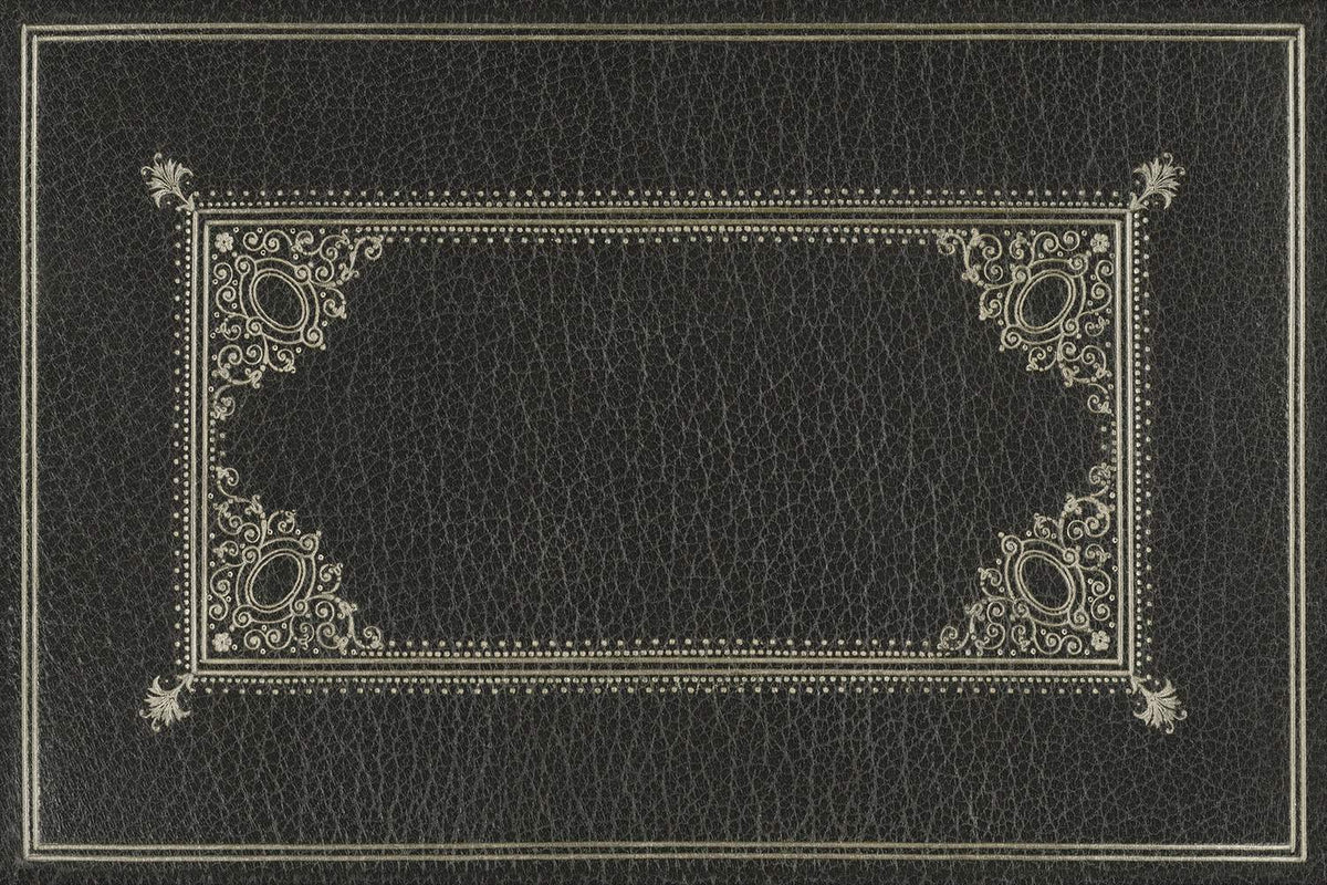 spicher and company english library omnibus rug