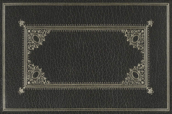 spicher and company english library omnibus rug