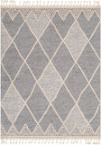 surya sofia sfa 2307 gray rug