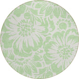 Addison Chantille ACN551 Mint Rug