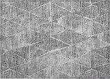 Addison Chantille ACN591 Pewter Rug