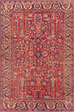 surya iris irs 2332 red rug
