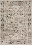 dalyn antalya ay4 silver rug