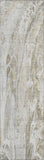 Addison Chantille ACN602 Taupe Rug