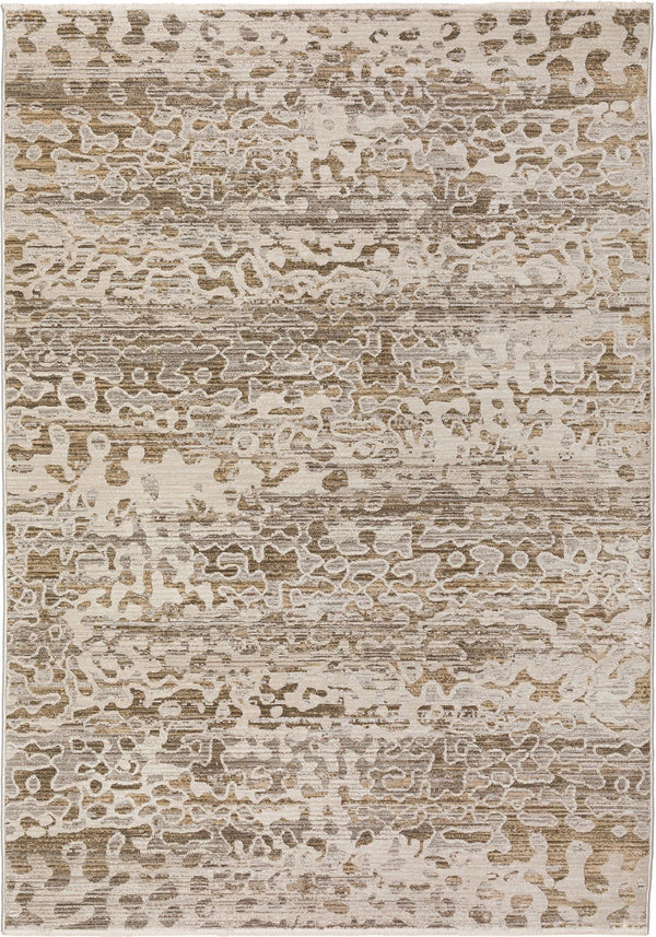 dalyn denizi dz6 mocha rug