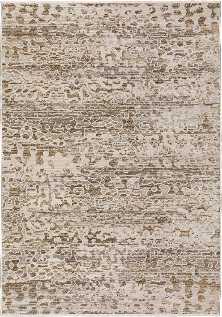 dalyn denizi dz6 mocha rug