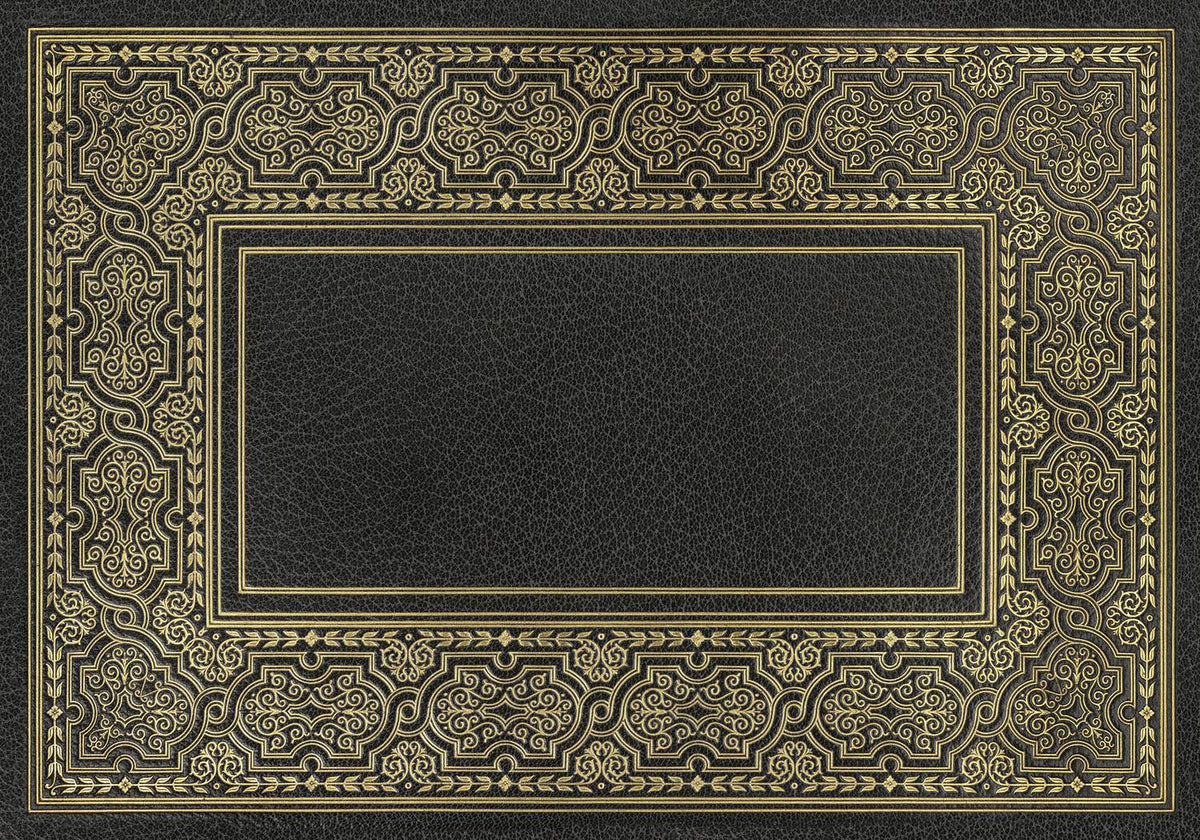 spicher and company english library precis rug