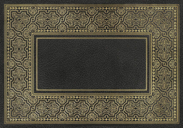 spicher and company english library precis rug