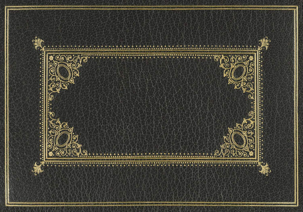 spicher and company english library cipher rug