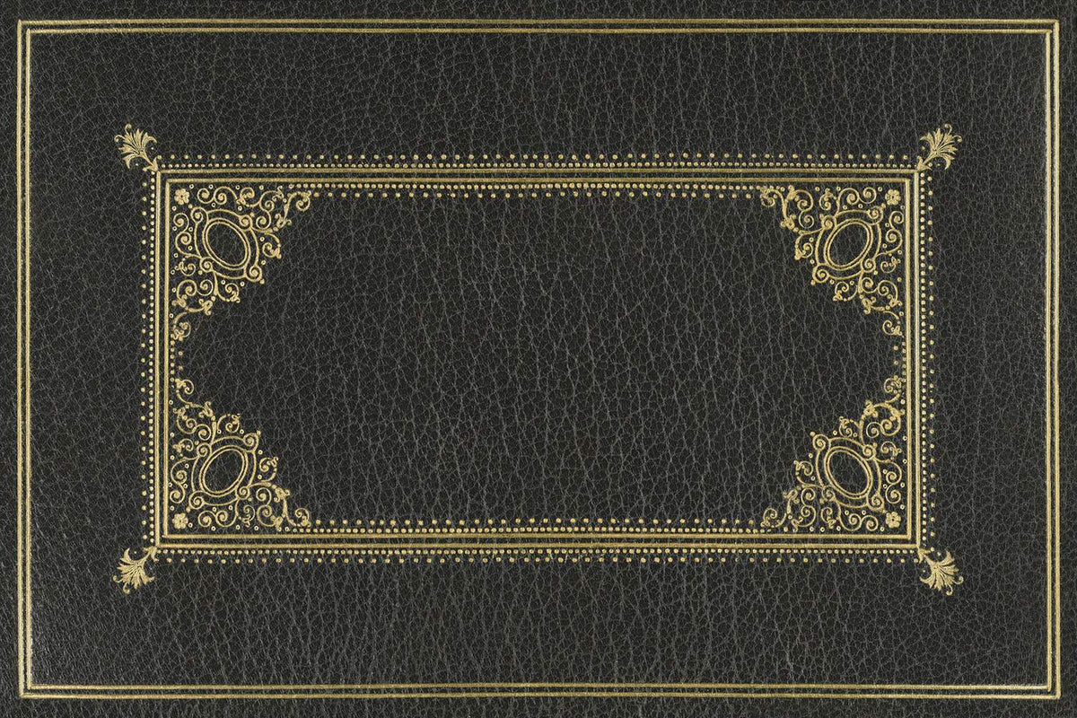 spicher and company english library cipher rug
