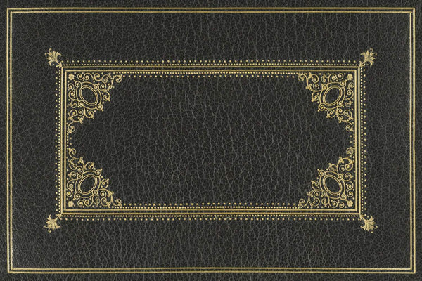 spicher and company english library cipher rug