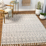 surya euphoria erp 2315 charcoal rug