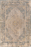 surya aspendos aps 2300 denim rug