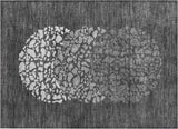 Addison Chantille ACN643 Charcoal Rug