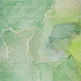 addison chantille acn511 green rug