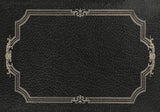 spicher and company english library canon rug