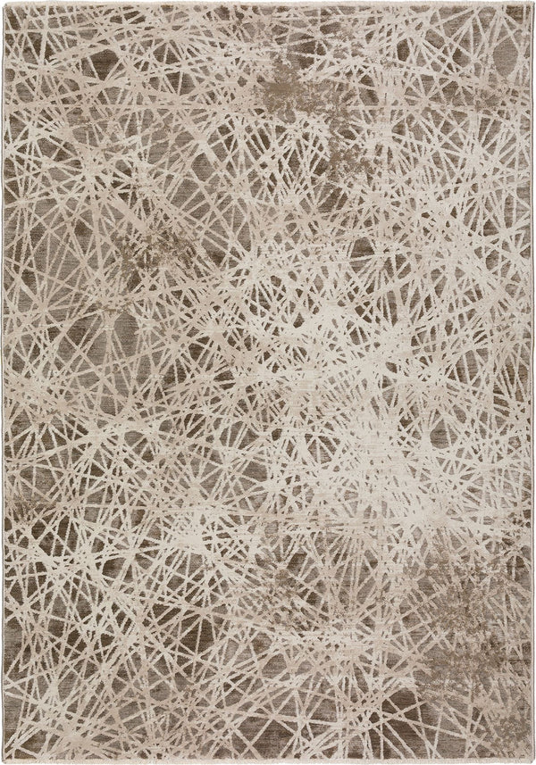 dalyn denizi dz4 taupe rug