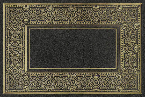 spicher and company english library precis rug