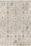 surya brunswick bwk 2316 sage rug
