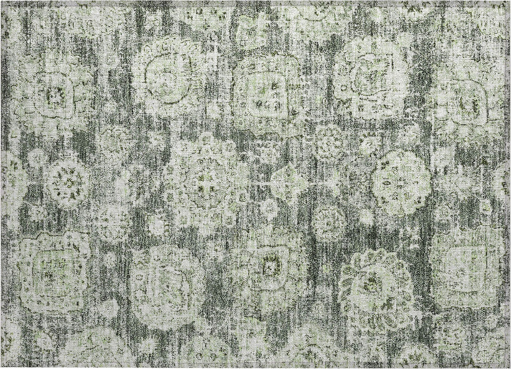 addison chantille acn634 aloe rug