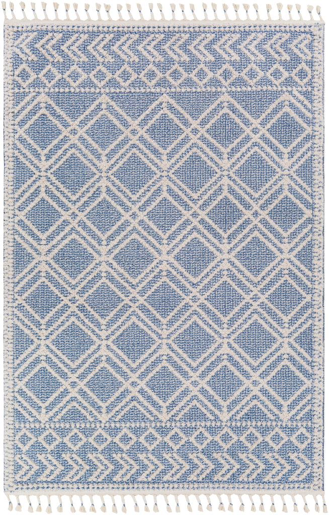 surya valencia vlc 2314 dark blue rug