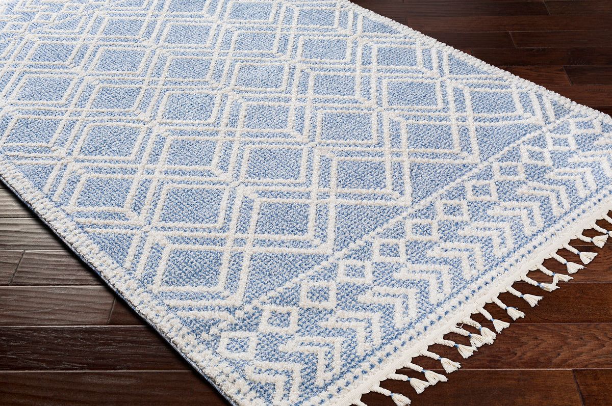 surya valencia vlc 2314 dark blue rug