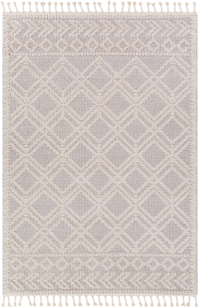 surya valencia vlc 2315 light gray rug