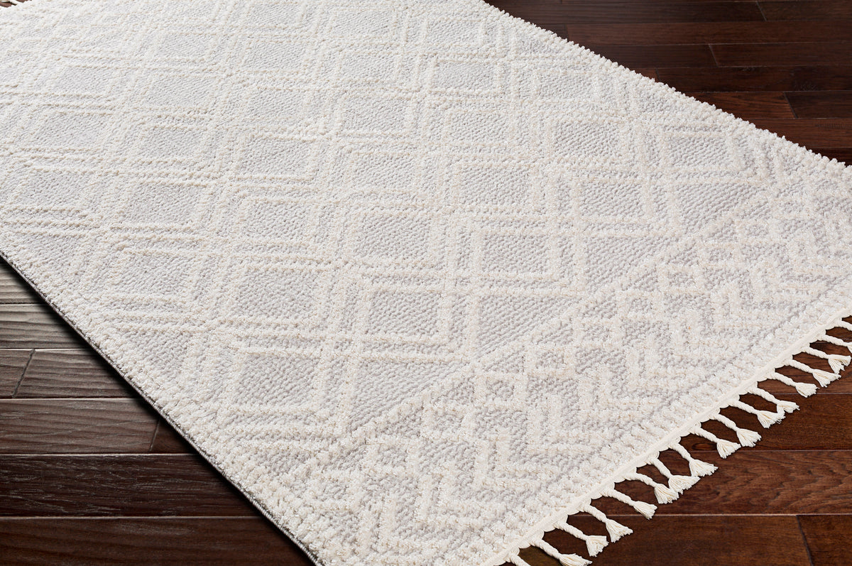 surya valencia vlc 2315 light gray rug