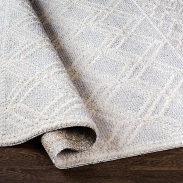surya valencia vlc 2315 light gray rug