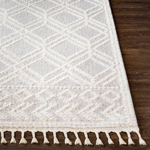 surya valencia vlc 2315 light gray rug