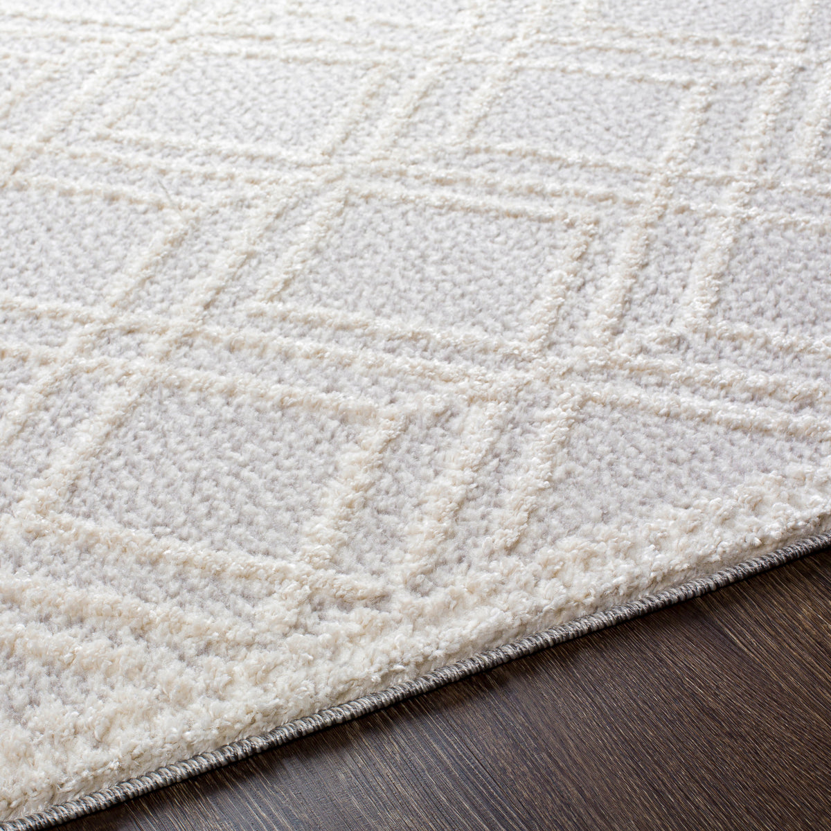 surya valencia vlc 2315 light gray rug