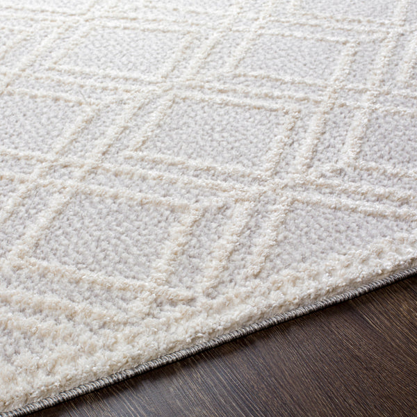 surya valencia vlc 2315 light gray rug