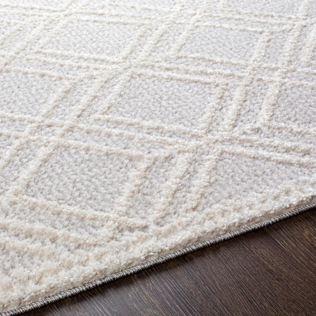 surya valencia vlc 2315 light gray rug