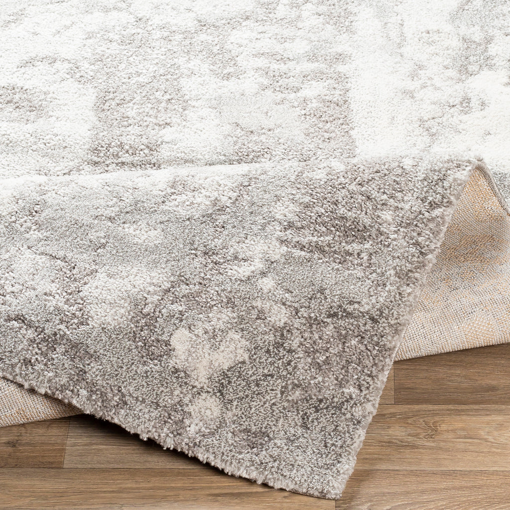 Surya Rug Co. Venice Medium Gray Rug | Gray Rugs | Rugs Done Right
