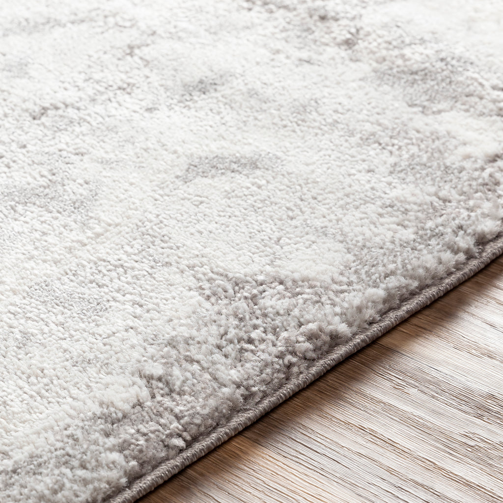 Surya Rug Co. Venice Medium Gray Rug | Gray Rugs | Rugs Done Right