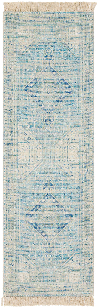 Livabliss Zainab ZAI-2304 Sky Blue Rug