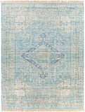 Livabliss Zainab ZAI-2304 Sky Blue Rug