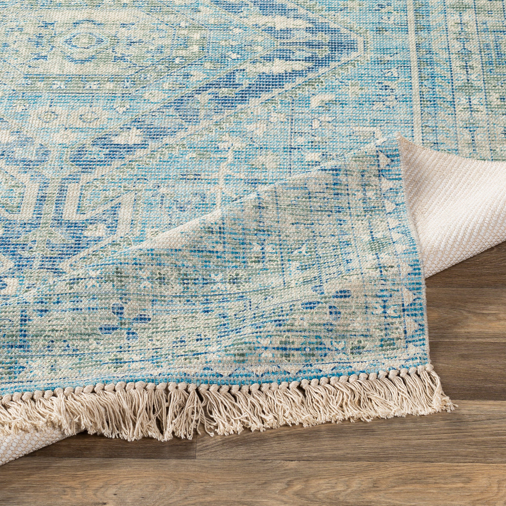 Livabliss Zainab ZAI-2304 Sky Blue Rug