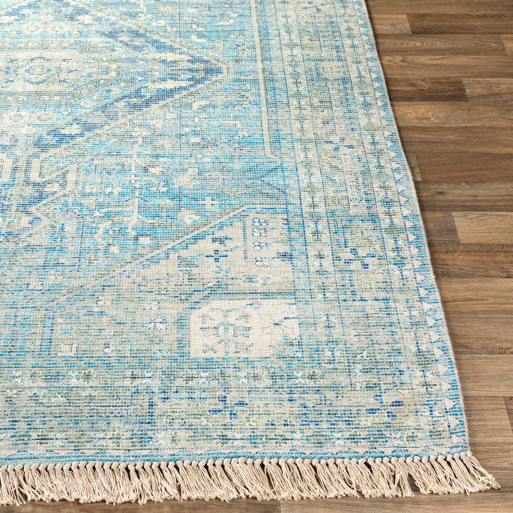 Livabliss Zainab ZAI-2304 Sky Blue Rug